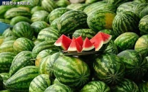 免费吃瓜网站有哪些,畅享娱乐资讯的宝藏之地 第1张 免费吃瓜网站有哪些,畅享娱乐资讯的宝藏之地 第1张