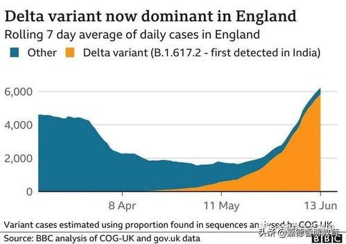 英国爆料病毒新闻最新,最新爆料揭示疫情背后惊人内幕 第2张 英国爆料病毒新闻最新,最新爆料揭示疫情背后惊人内幕 第2张