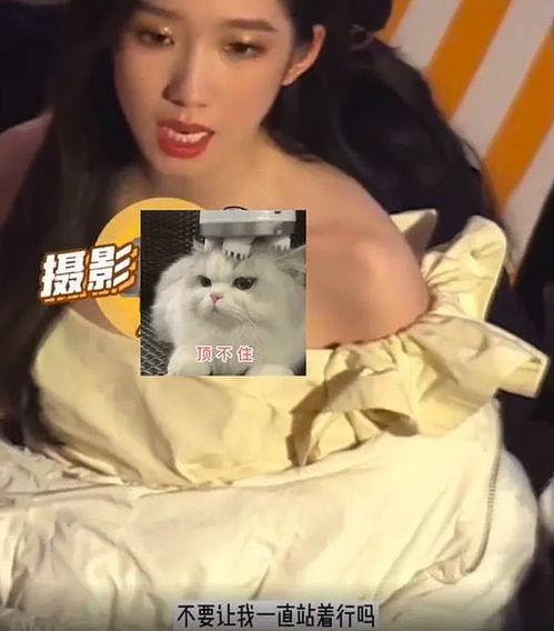 蔡西施被人爆料视频,揭秘背后真相与网络舆论的漩涡 第3张 蔡西施被人爆料视频,揭秘背后真相与网络舆论的漩涡 第3张