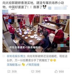 向太最新爆料,娱乐圈不为人知的真相大揭秘  第1张